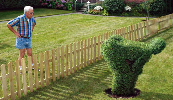 This is a funny bush