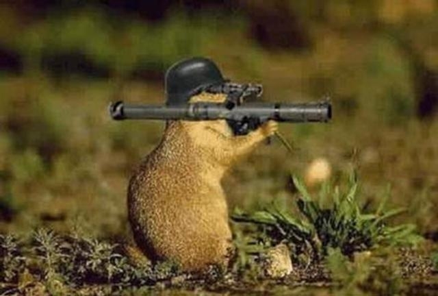 A squirrel holding a rocket launcher.