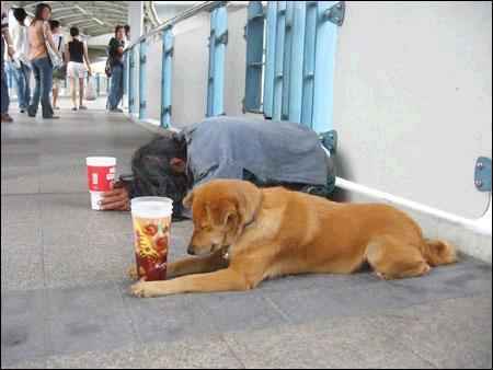 A homeless' man best friend