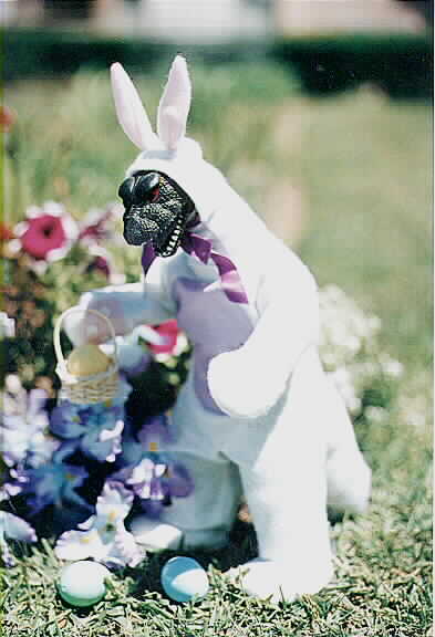 Easter Humor