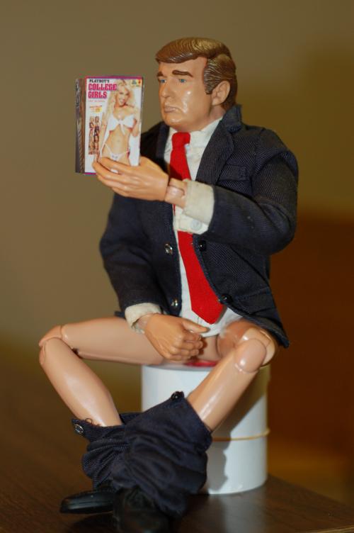 We caught this trump doll in the act when he thought no one was around!!! this just proves the secret lives of trump dolls!