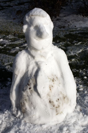 ok so its 3 days before christmas, it snowed, me and my friend got bored, and made this!!!