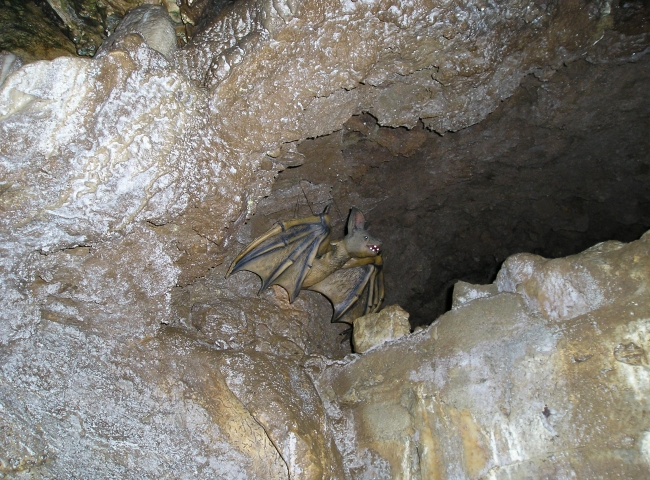 Weird Cave Formations