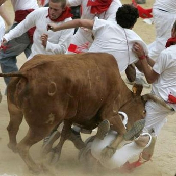 Running With The Bulls