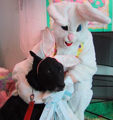 Evil Easter Bunnies