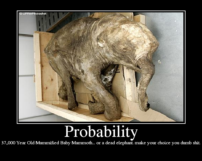 37,000 Year Old Mummified Baby Mammoth... or a dead elephant. make your choice you dumb shit.