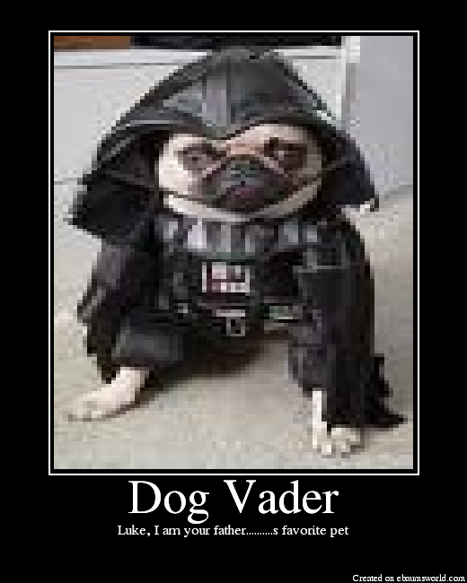 Luke, I am your father..........s favorite pet