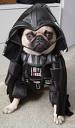 Luke, I am your father..........s favorite pet