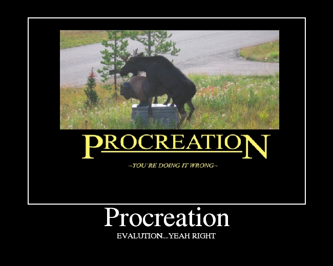 procreate definition