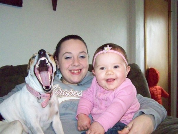 Either this dog is rabid or its just tired of pictures.
