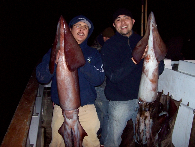 end result of fishing giant squid