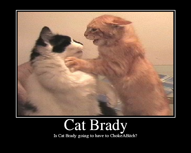 Is Cat Brady going to have to ChokeABitch?