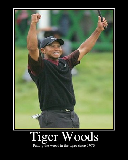 Putting the wood in the tiger since 1975