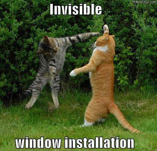 Invisible Window