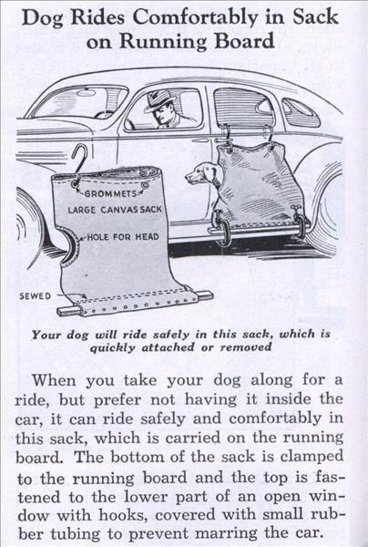 Dont Want Your Dog In The Car? Then This Is For You