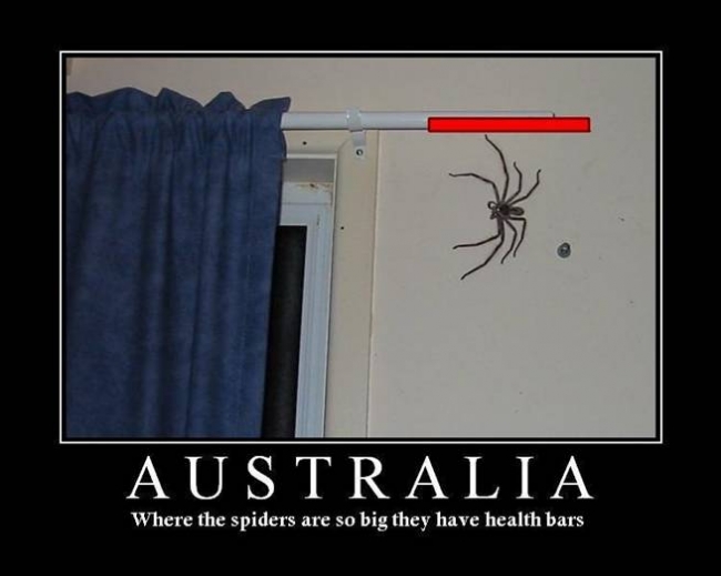 where the spiders are so big they have health bars
