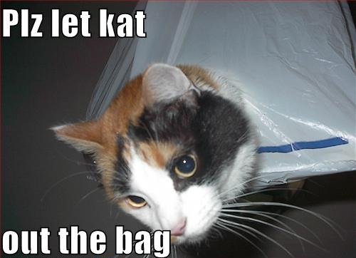 Plz let kat out the bag