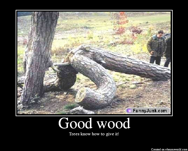 Trees know how to give it!