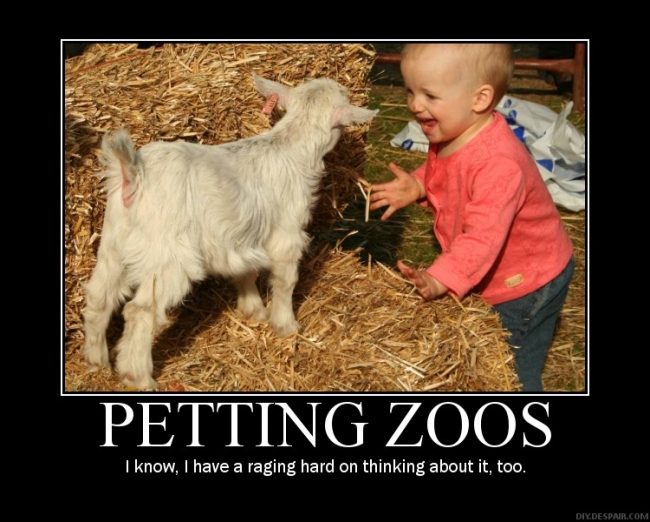 I fucking LOVE petting zoos!