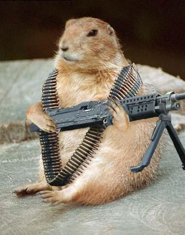 military chipmunk used for undercover missions.