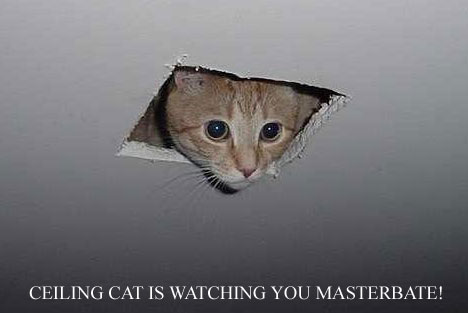 it watches u masterbate