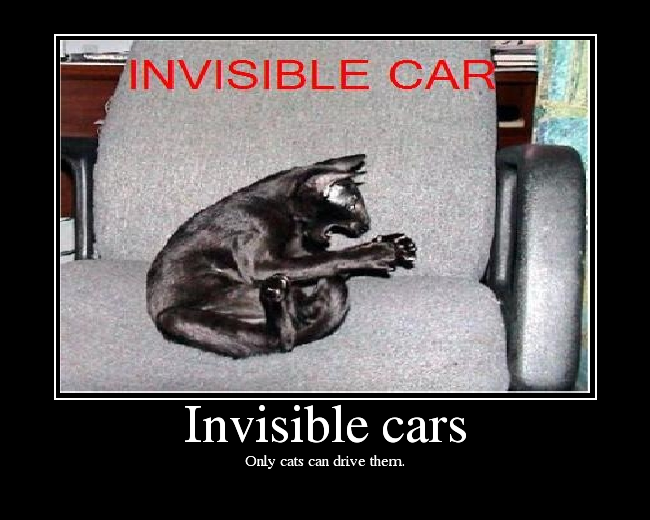 Only cats can drive them.