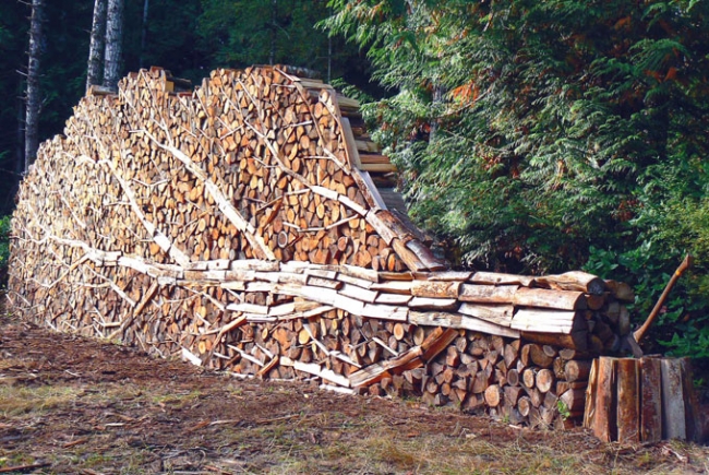 Awesome Woodpiles