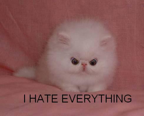 "I hate everything..."