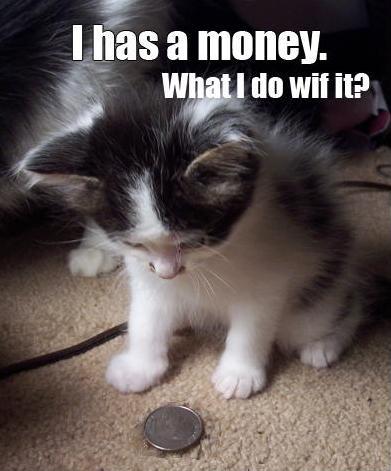 What will this kitten do with this money?
