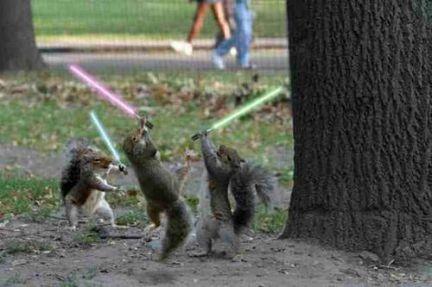 Return of the Jedi: Squirrel Edition