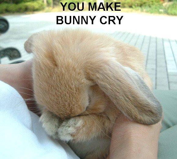 This bunny is crying... no, nevermind. It's faking.