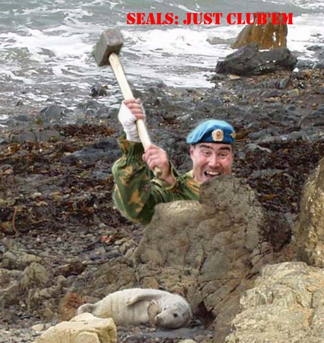 Club a seal 2day Picture eBaum's World