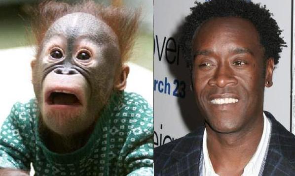 Celebrity's Animal Look-a-Likes