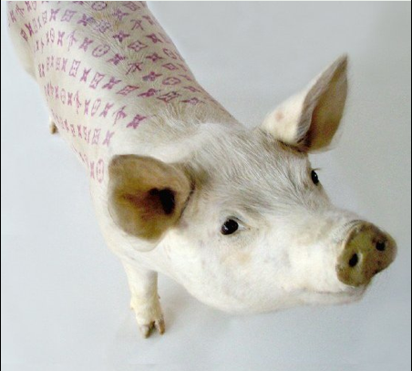 Pigs With Tattoos