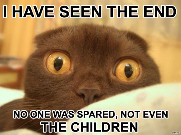 funny cat funny pictures of cats - I Have Seen The End No One Was Spared, Not Even The Children Snaps