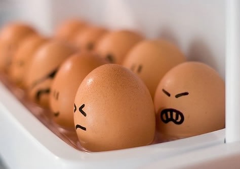 Funny Egg Faces