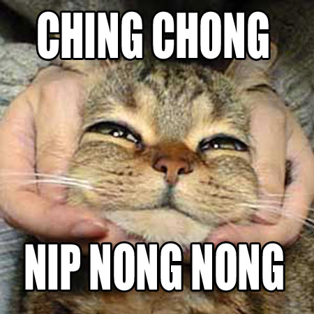 funny cat ching chong nip nong cat