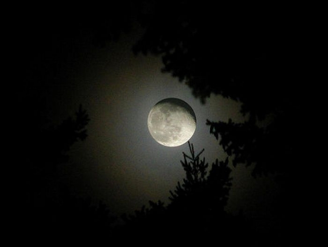 Amazing Moon Shots