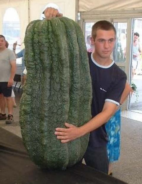 World's Largest Vegetables