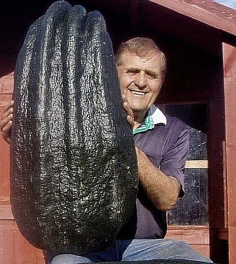 World's Largest Vegetables