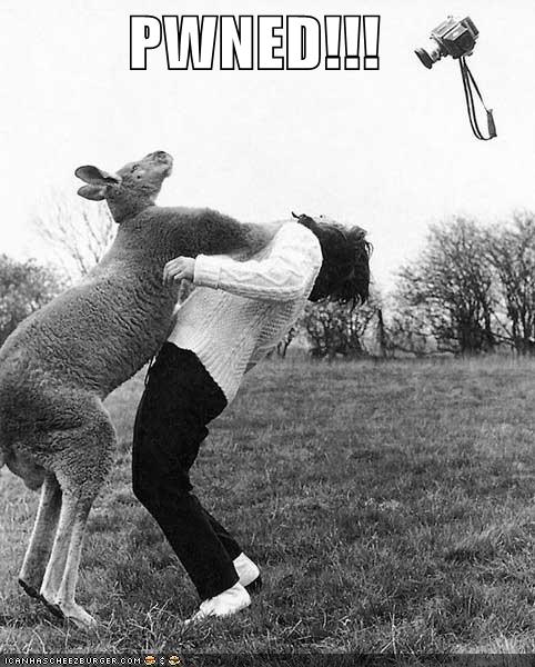 Kangaroo didn't like this woman.