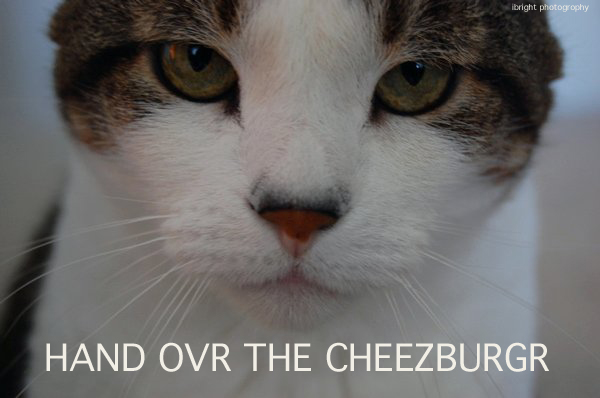 Bowser Angry, he wants Cheezburger!