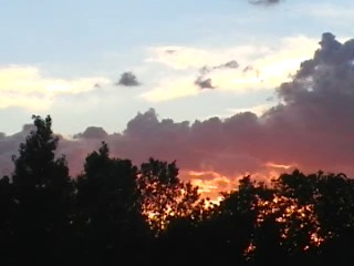 just a pic of the sunset behing my house
