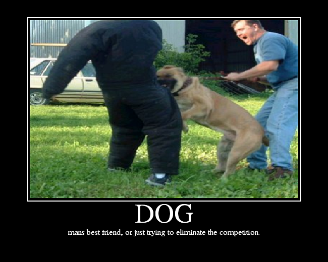 mans best friend, or just trying to eliminate the competition.