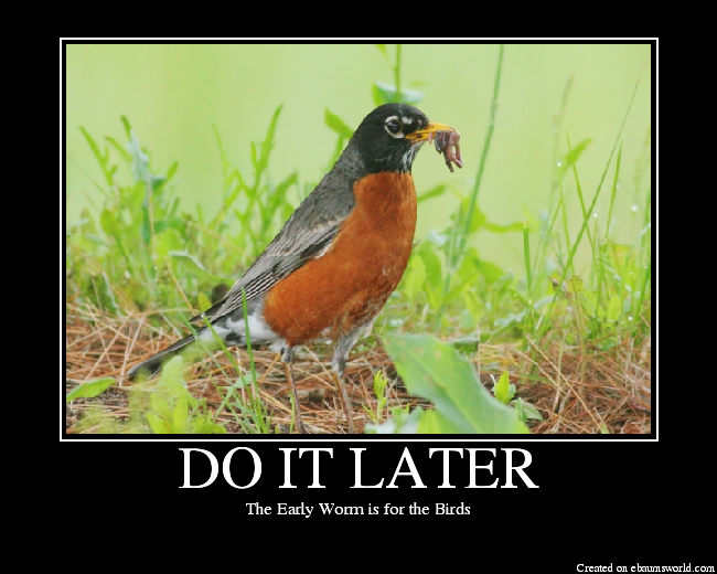 The Early Worm is for the Birds