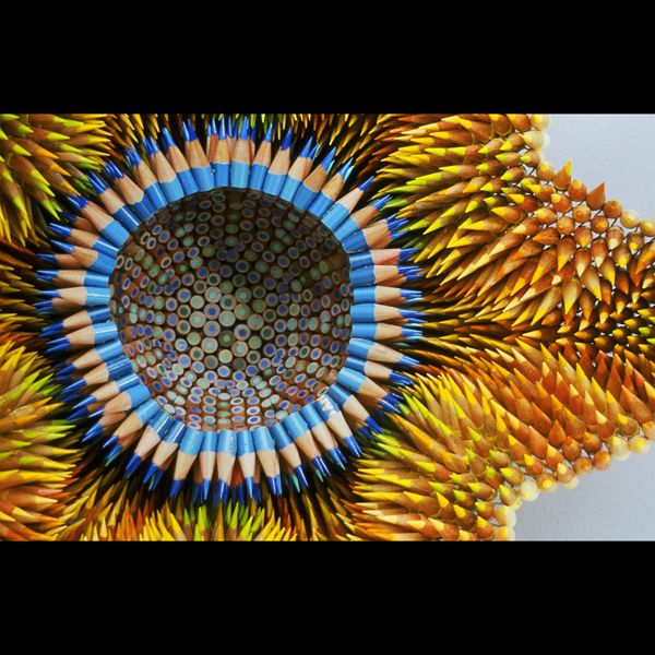Colored Pencil Sculptures