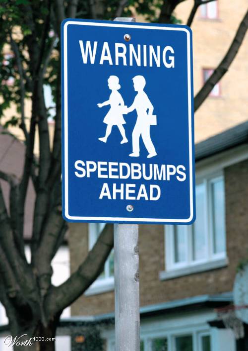 Warning Speed Bumps