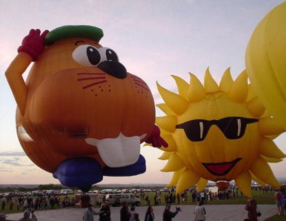 cool hot air balloons