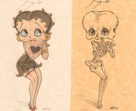 Cartoons anatomy