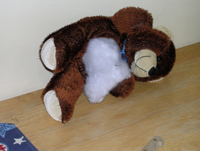 Random teddy bear pwnage